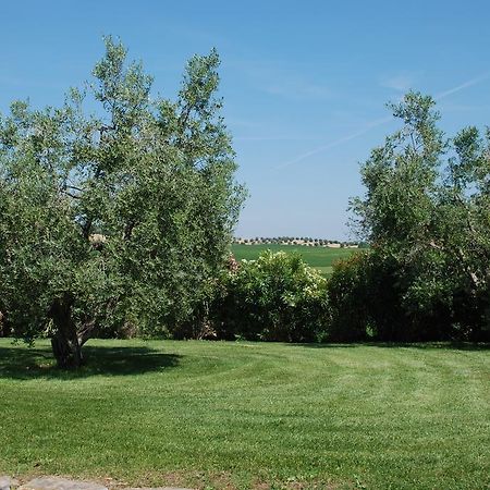 Agriturismo Le Coccinelle Hostal Magliano in Toscana Exterior foto