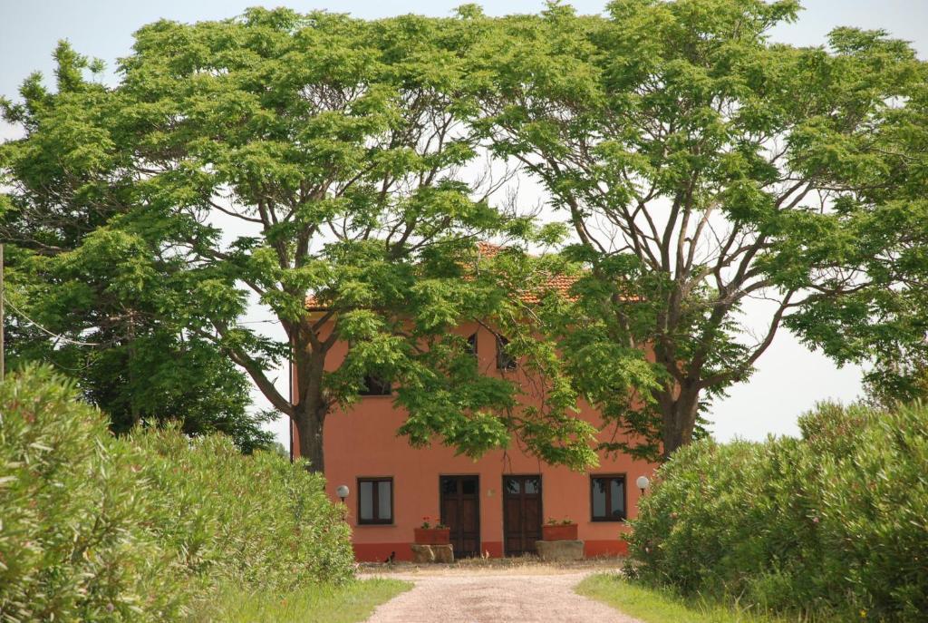 Agriturismo Le Coccinelle Hostal Magliano in Toscana Exterior foto