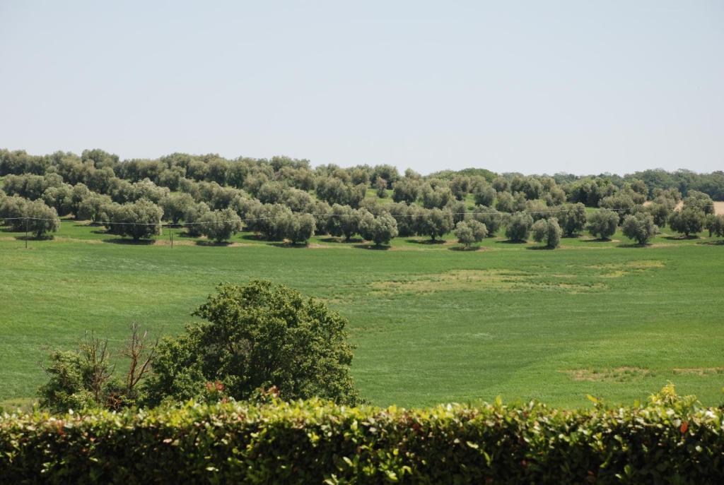 Agriturismo Le Coccinelle Hostal Magliano in Toscana Exterior foto