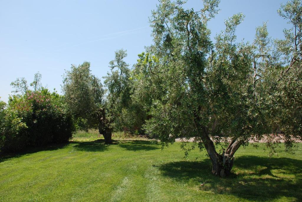 Agriturismo Le Coccinelle Hostal Magliano in Toscana Exterior foto