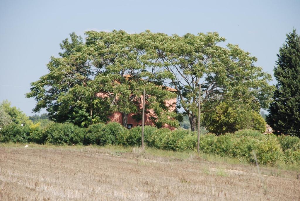 Agriturismo Le Coccinelle Hostal Magliano in Toscana Exterior foto