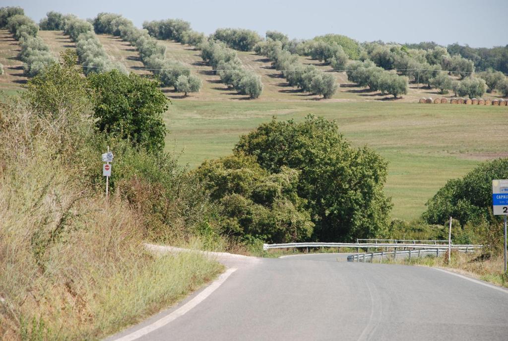Agriturismo Le Coccinelle Hostal Magliano in Toscana Exterior foto