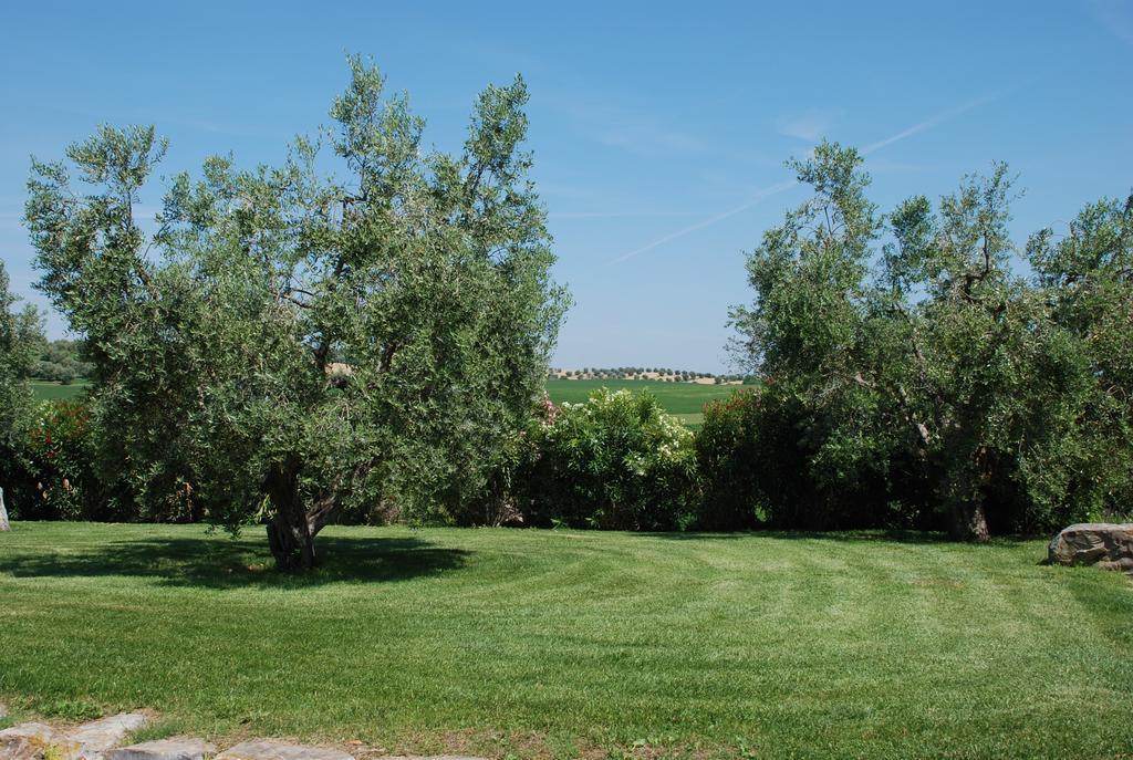 Agriturismo Le Coccinelle Hostal Magliano in Toscana Exterior foto