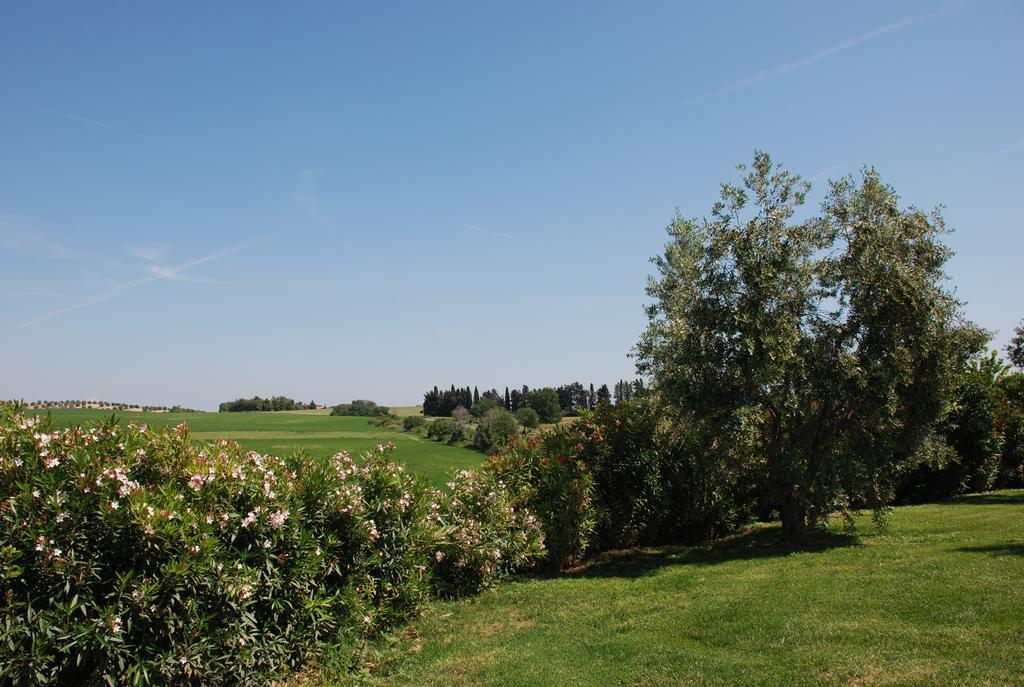 Agriturismo Le Coccinelle Hostal Magliano in Toscana Exterior foto