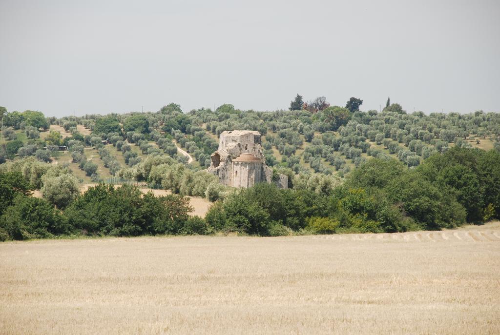 Agriturismo Le Coccinelle Hostal Magliano in Toscana Exterior foto