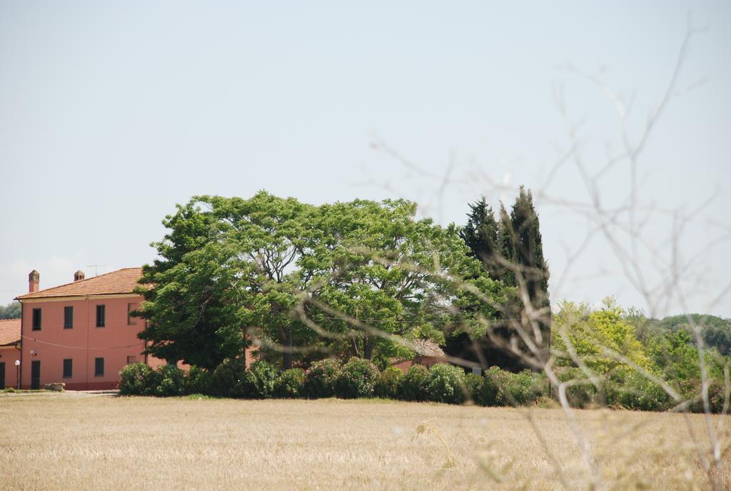 Agriturismo Le Coccinelle Hostal Magliano in Toscana Exterior foto
